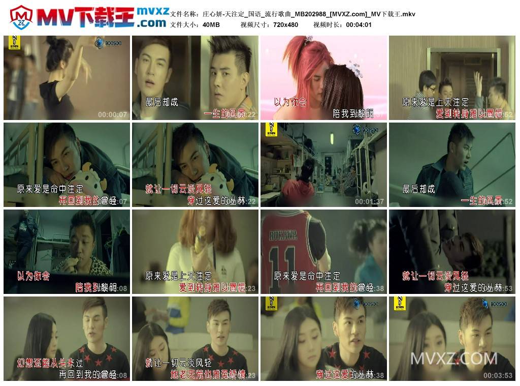 庄心妍-天注定_国语_流行歌曲_MB202988